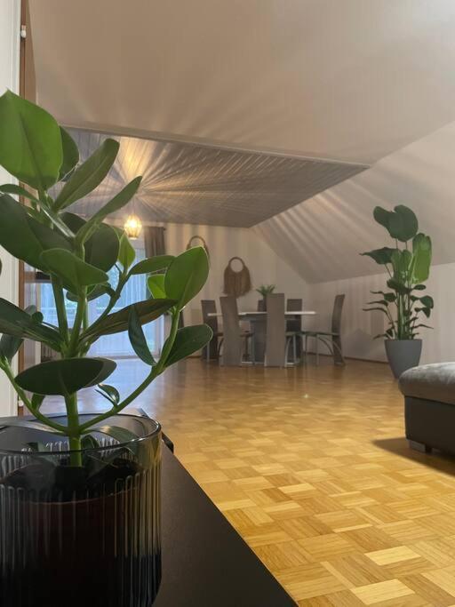 Apartmán Fewo Boho 110 Qm Mit Bergblick 3 Min Bahnhof Laufen Exteriér fotografie